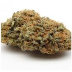 Шишки AK47 (Гидропоника, Бошка) VHQ в Глазове Шишки AK47 (Гидропоника, Бошка) VHQ в Глазове